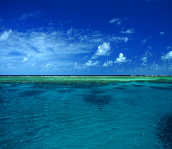 : great_barrier_reef.jpg
: 773

: 81.8 