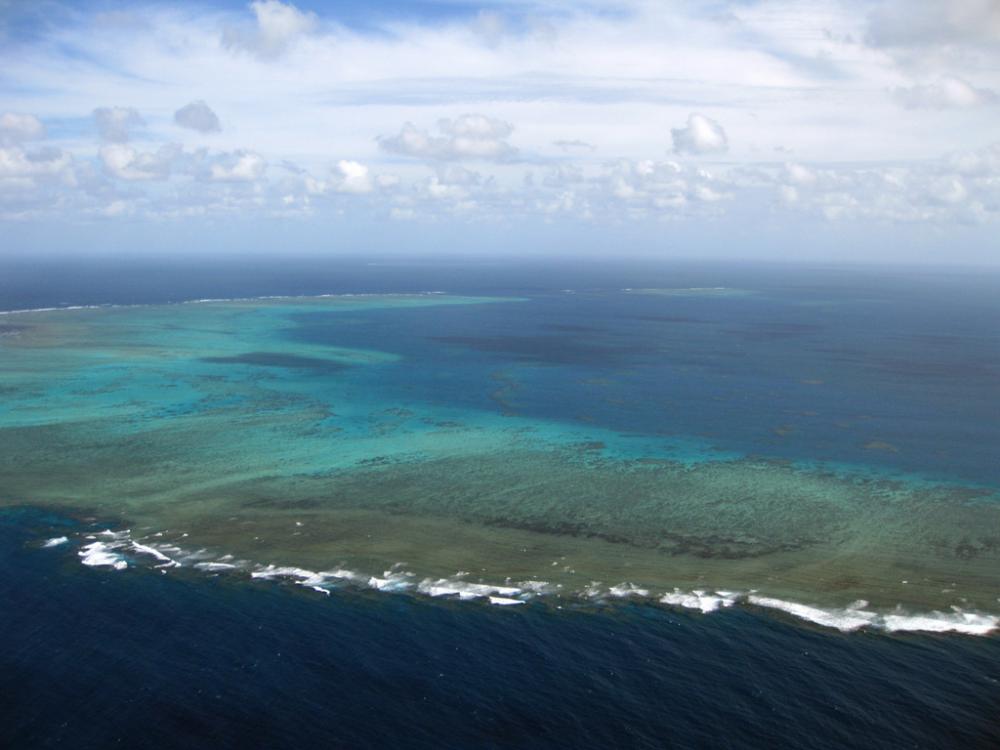 : great_barrier_reef_4.jpg
: 1458

: 59.7 