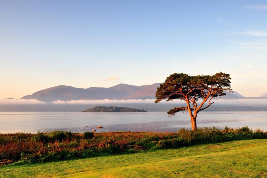 : Killarney-Sunrise.jpg
: 366

: 65.6 